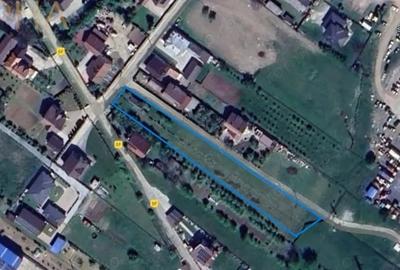 Teren de 5300 mp, în Viișoara - 2