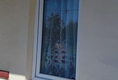 Casă individuală cu 2 camere cu Teren 2000 Mp în Davideni - 6