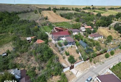 Casă cu 5 camere cu Teren 5300 Mp în Găvănești