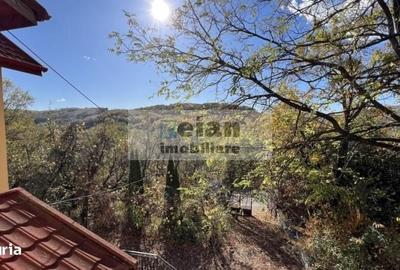 Casă cu 4 camere în Bărzila - 3