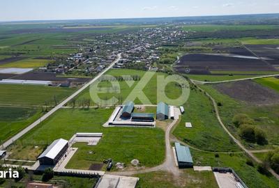 Teren de 105000 mp, în Singureni - 19