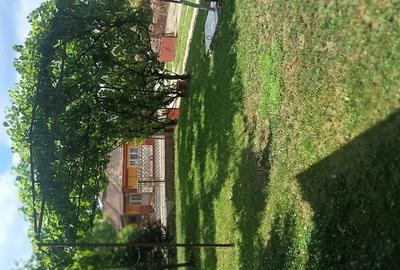 Casă cu Teren 5500 Mp în Pădurenii (Tritenii de Jos)