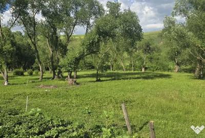 Casă cu 4 camere în Zaharești - 15
