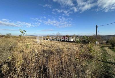 Teren Construcții extravilan de 3000 mp, în Șorogari - 1