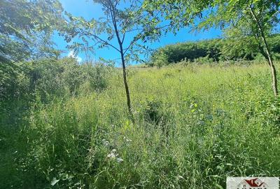 Teren Construcții intravilan de 536 mp, în Ciugud - 4