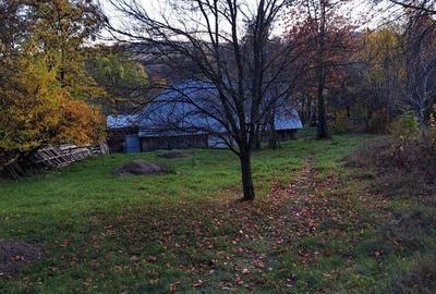 Teren de 2000 mp, în Văratec - 1
