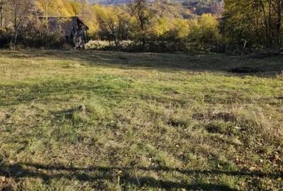 Teren de 950 mp, în Central - 4