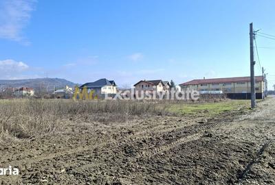 Teren de 3633 mp, în Ștefănești