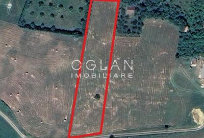 Teren Construcții intravilan de 3500 mp, în Turnișor