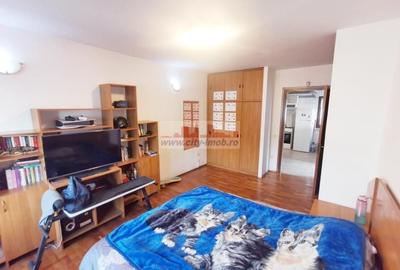 Apartament cu 3 camere decomandat în Banu Manta - 9