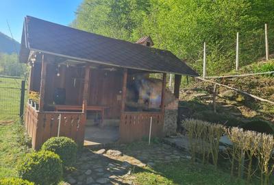 Casă cu 4 camere în Strungari - 3