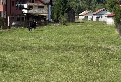 Teren de 2463 mp, în Băile Borșa - 9
