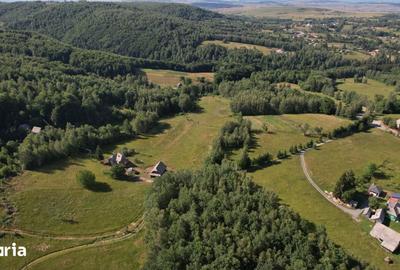 Teren de 38781 mp, în Râșca - 3