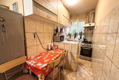 Apartament cu 3 camere semidecomandat, mobilat în Șagului - 13