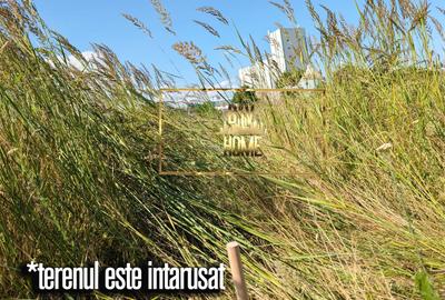 Teren Construcții intravilan de 253 mp, în Zona Industrială - 3