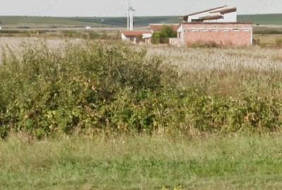 Teren de 10000 mp, în Izvin - 2