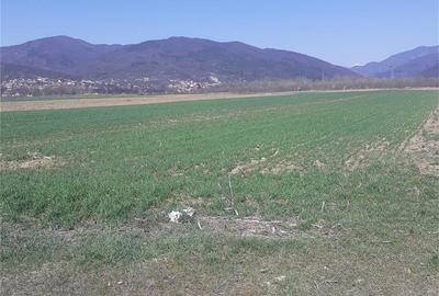 Teren de 2000 mp, în Jiblea Nouă - 2