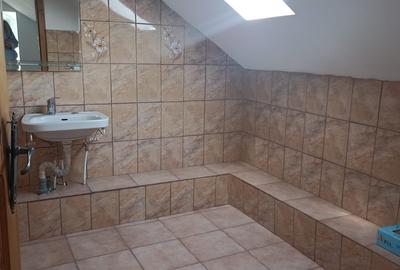 Casă individuală cu 7 camere cu Canalizare în Budeasa Mare - 2