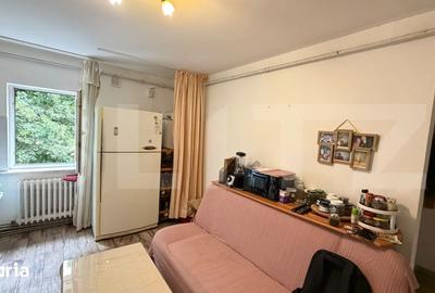 Apartament cu 2 camere semidecomandat în Brazda lui Novac