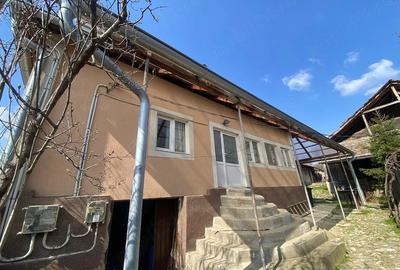 Casă cu 3 camere cu Teren 1600 Mp în Șușița (Breznița-Ocol)