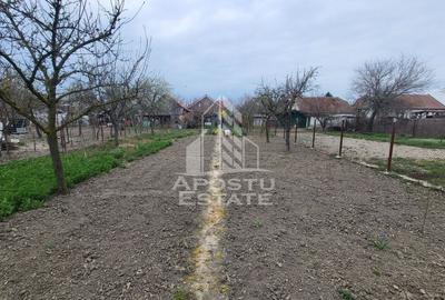 Casă individuală cu 5 camere cu Canalizare în Șag - 19