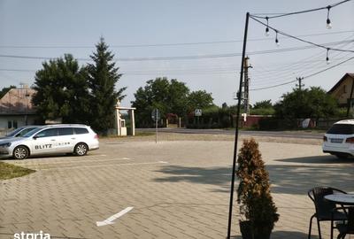 Teren de 1300 mp, în Dărmănești - 11