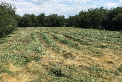 Teren intravilan de 1000 mp, în Tulca - 3