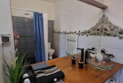 Apartament cu 4 camere în Gruia - 1