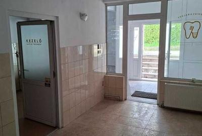 Spațiu comercial, de 80 mp, în Central - 6