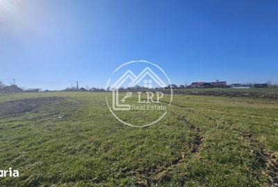 Teren de 646 mp, în Dascălu - 6