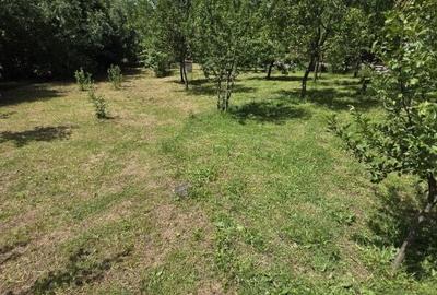 Casă cu 3 camere cu Teren 2100 Mp în Satulung - 3