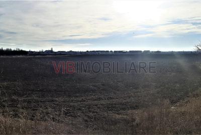 Teren intravilan de 8800 mp, în Odăi