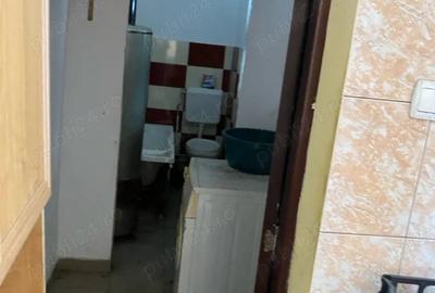 Casă cu Teren 19 Mp în Tămășești