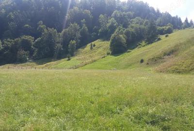 Teren în Dâmbovicioara - 5