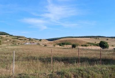 Teren de 2000 mp, în Petelea