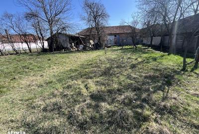 Casă cu 4 camere cu Teren 250 Mp în Pocola - 7