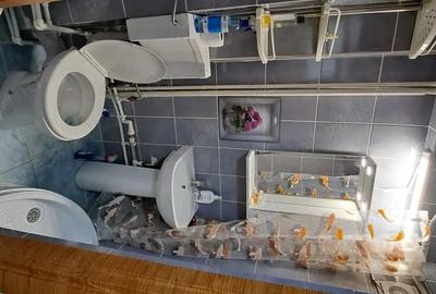 Garsonieră decomandată în Dunărea - 4