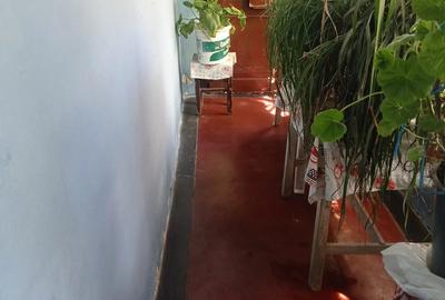 Casă cu 3 camere în Nord - 2