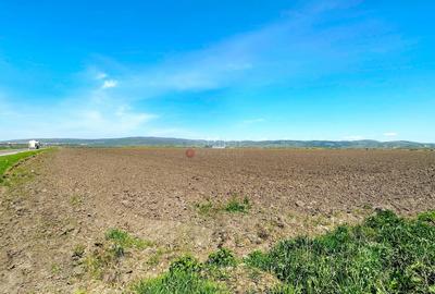 Teren Construcții intravilan de 60000 mp, în Feldioara - 4