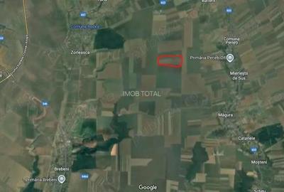 Teren de 475000 mp, în Brebeni - 1