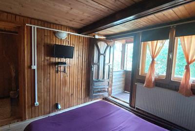 Casă cu 5 camere cu Teren 1050 Mp în Lepșa - 8