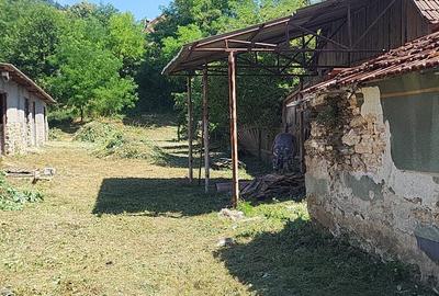 Casă cu 2 camere în Rapolțel