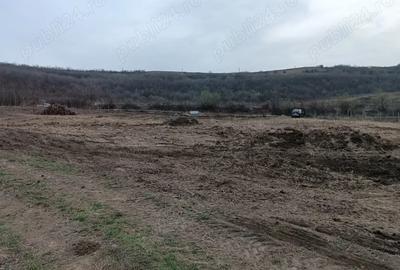 Teren de 5000 mp, în Central - 6