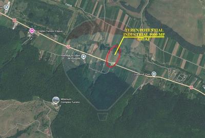Teren Construcții intravilan de 9000 mp, în Gilău - 5