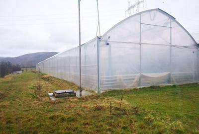 Teren agricol intravilan de 12000 mp, în Ciofrângeni - 2