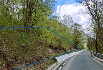 Teren agricol extravilan de 7548 mp, în Măcărești