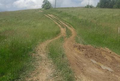 Teren de 10000 mp, în Avram Iancu - 4