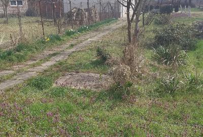 Casă cu 2 camere cu Teren 1190 Mp în Central - 4