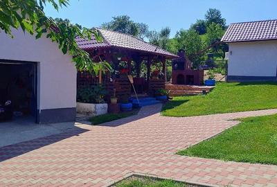 Casă cu 8 camere cu Teren 3500 Mp în Adâncata - 1