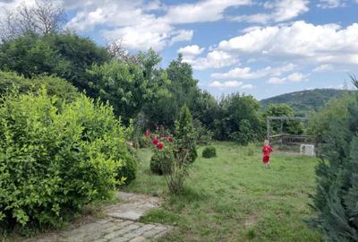 Casă cu 4 camere în Nișcov - 4